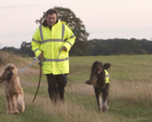 Walking-our-dogs-in-the-Beautiful-Norfolk-countryside