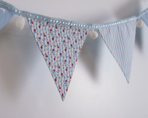 Rose and Hubble blue bunting